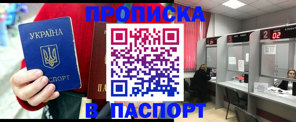 прописка 2025 в Мончегорске